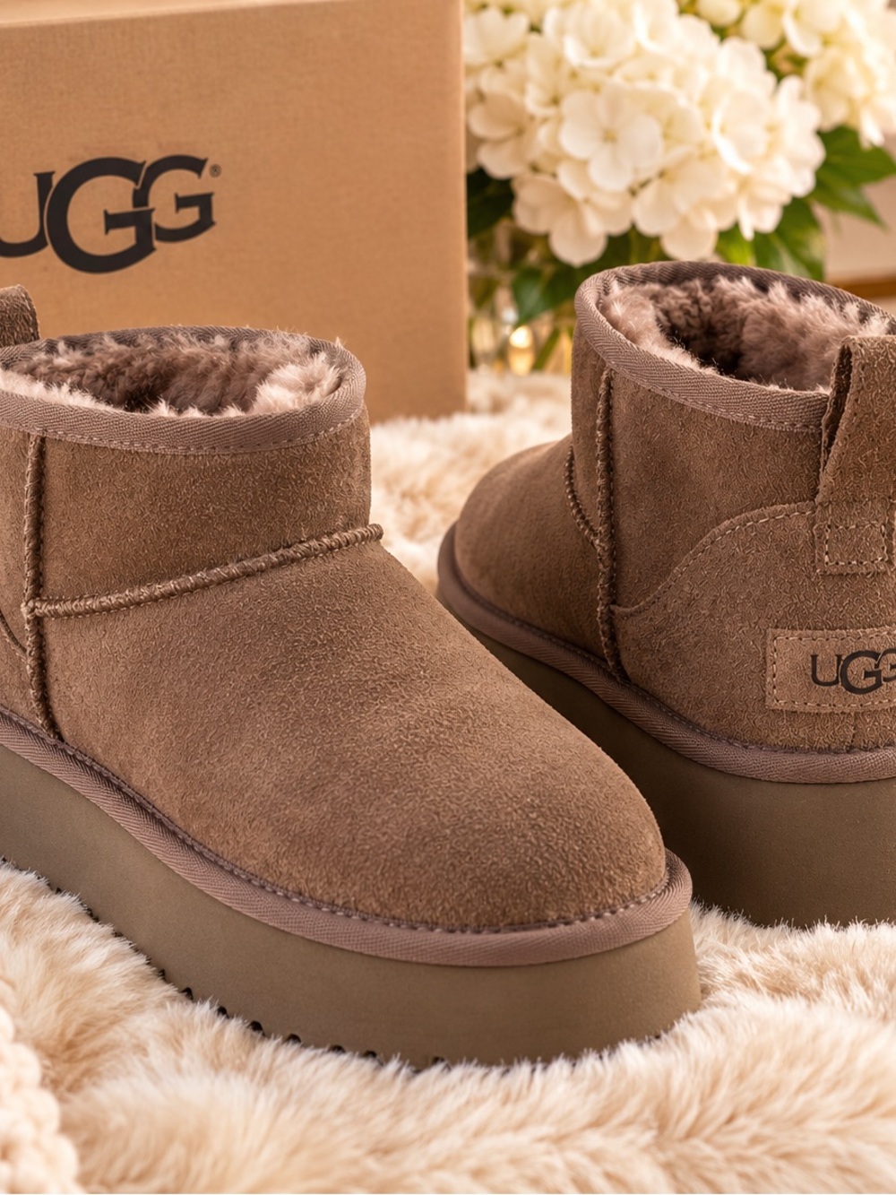 UGG Short Suede Platform Boot in Chestnut